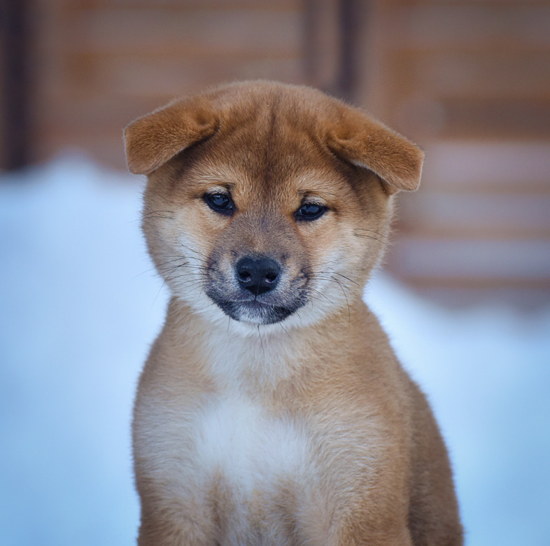 441AA043-7079-4103-9086-AA12151CD9BB