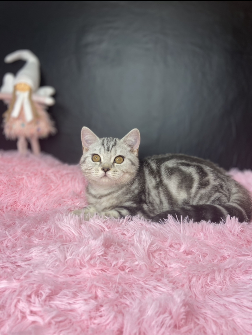 5168A593-E183-4A00-8858-8AE4B363CA54