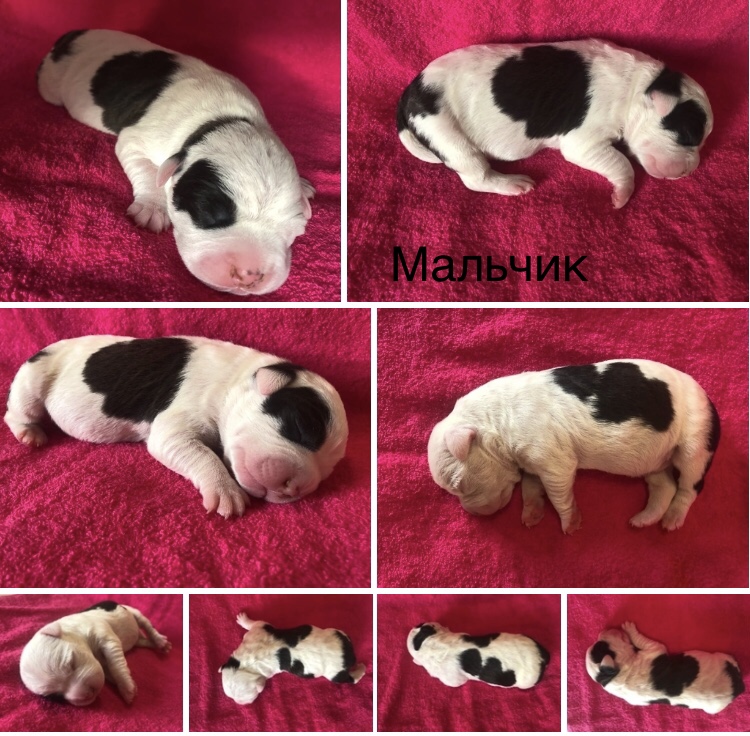 5422DA1D-BB9C-4843-80F6-8EA680268726