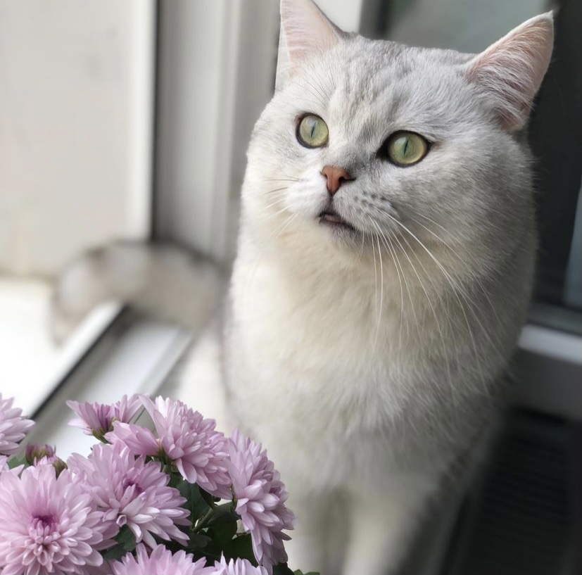 6355B9BB-F240-40EF-9874-8068AE2C721A