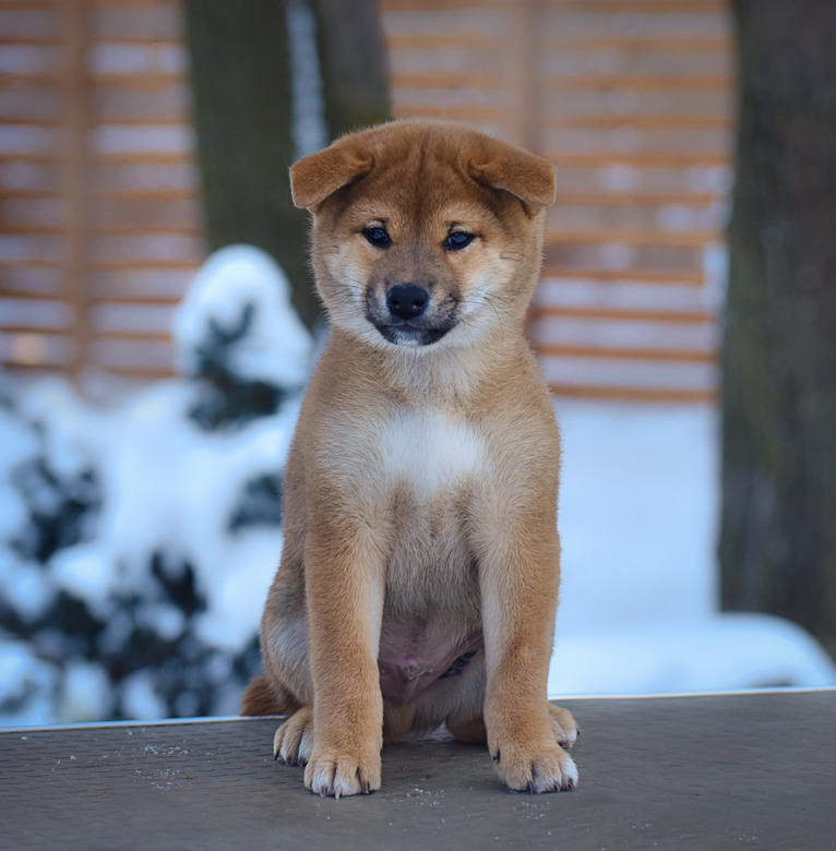 891EF4B2-10FB-491B-9AEC-CF83D9B0320A