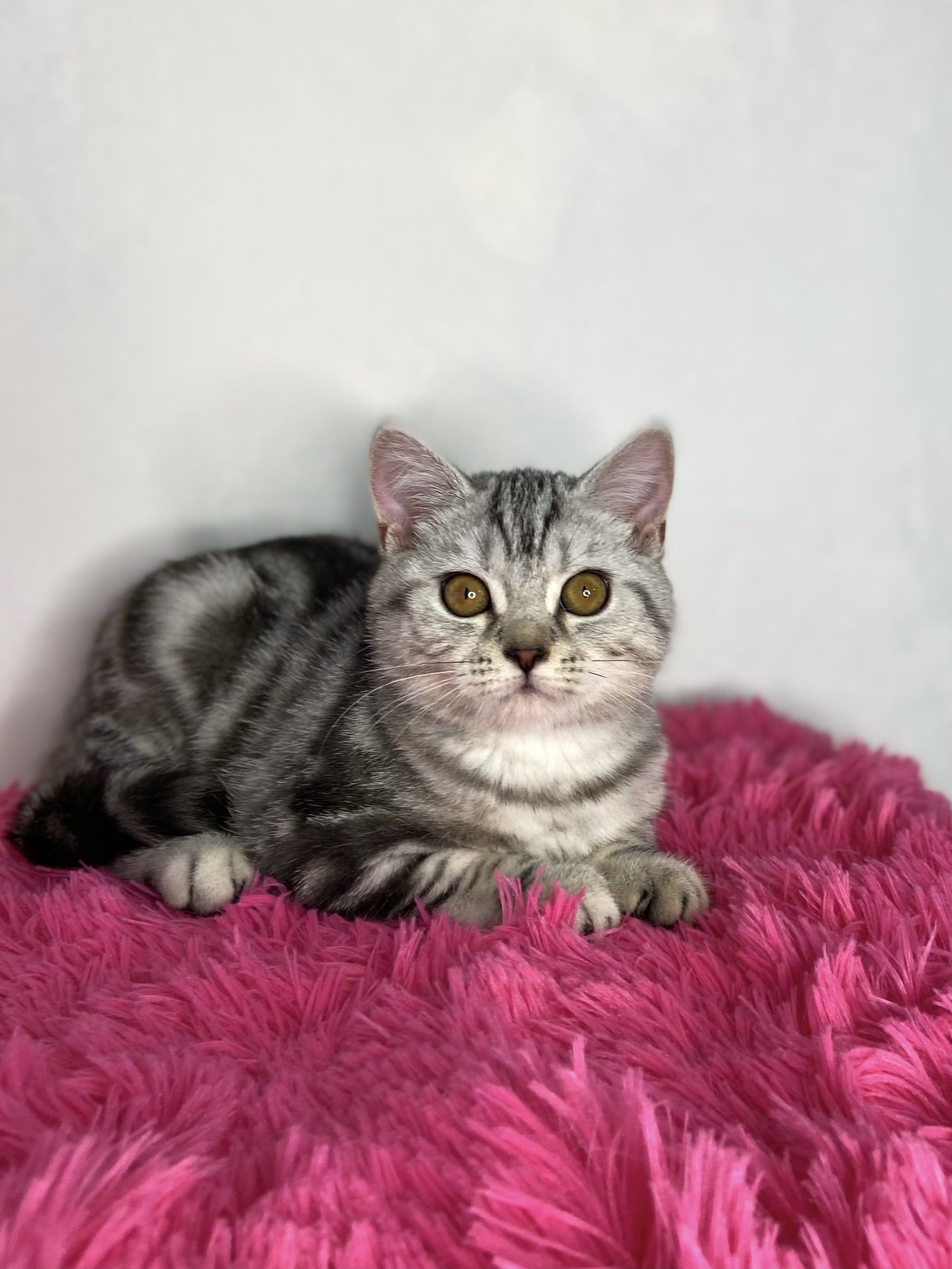 8D1F6EF6-A3AF-4FB4-8E34-72F1B1D25281