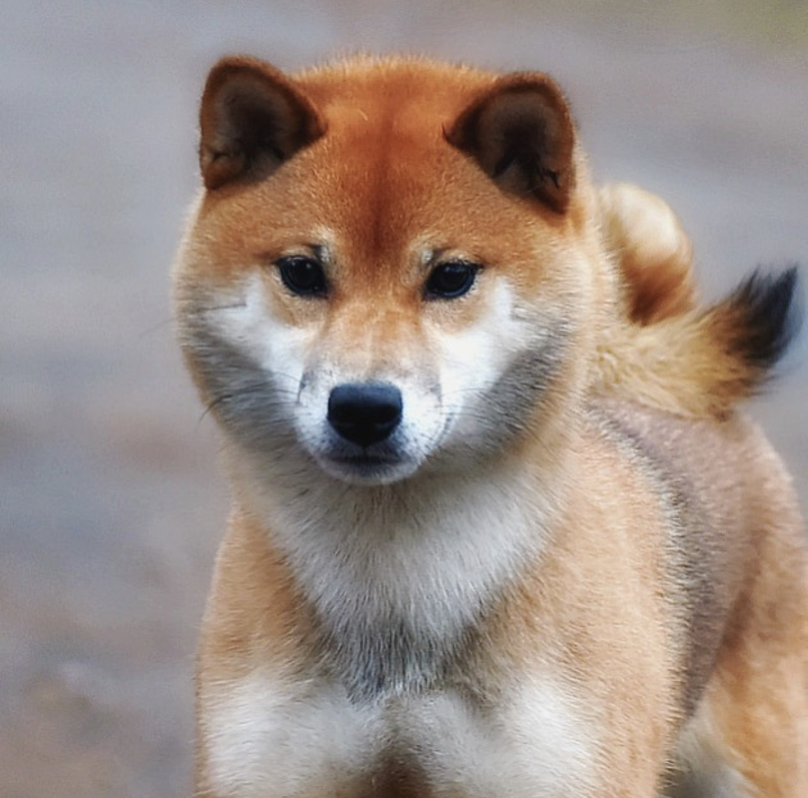 AFAD1499-1A08-4C6B-8956-17A0CD4676D3