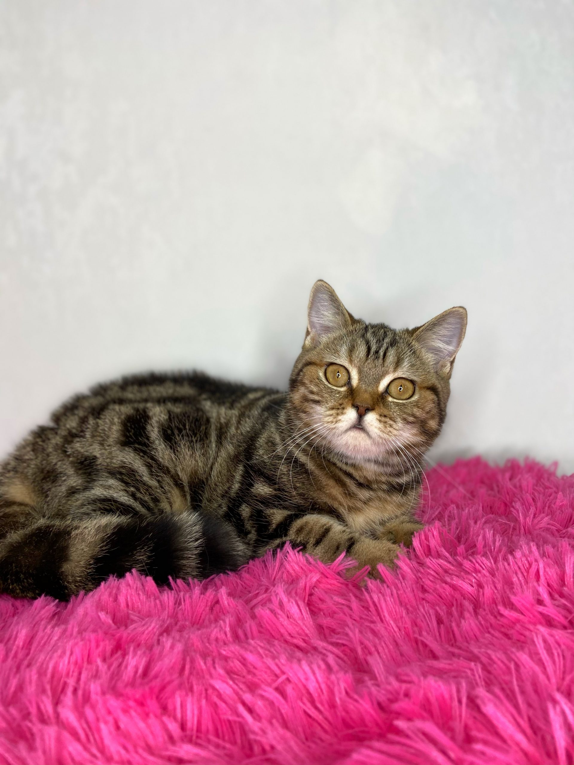 B44F259D-EC27-4639-B86E-ED9030C722EB