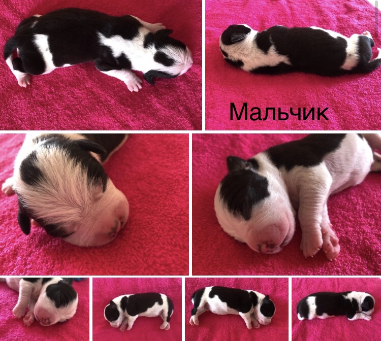 C02D93E2-FBAD-4454-834F-9732258F40BB