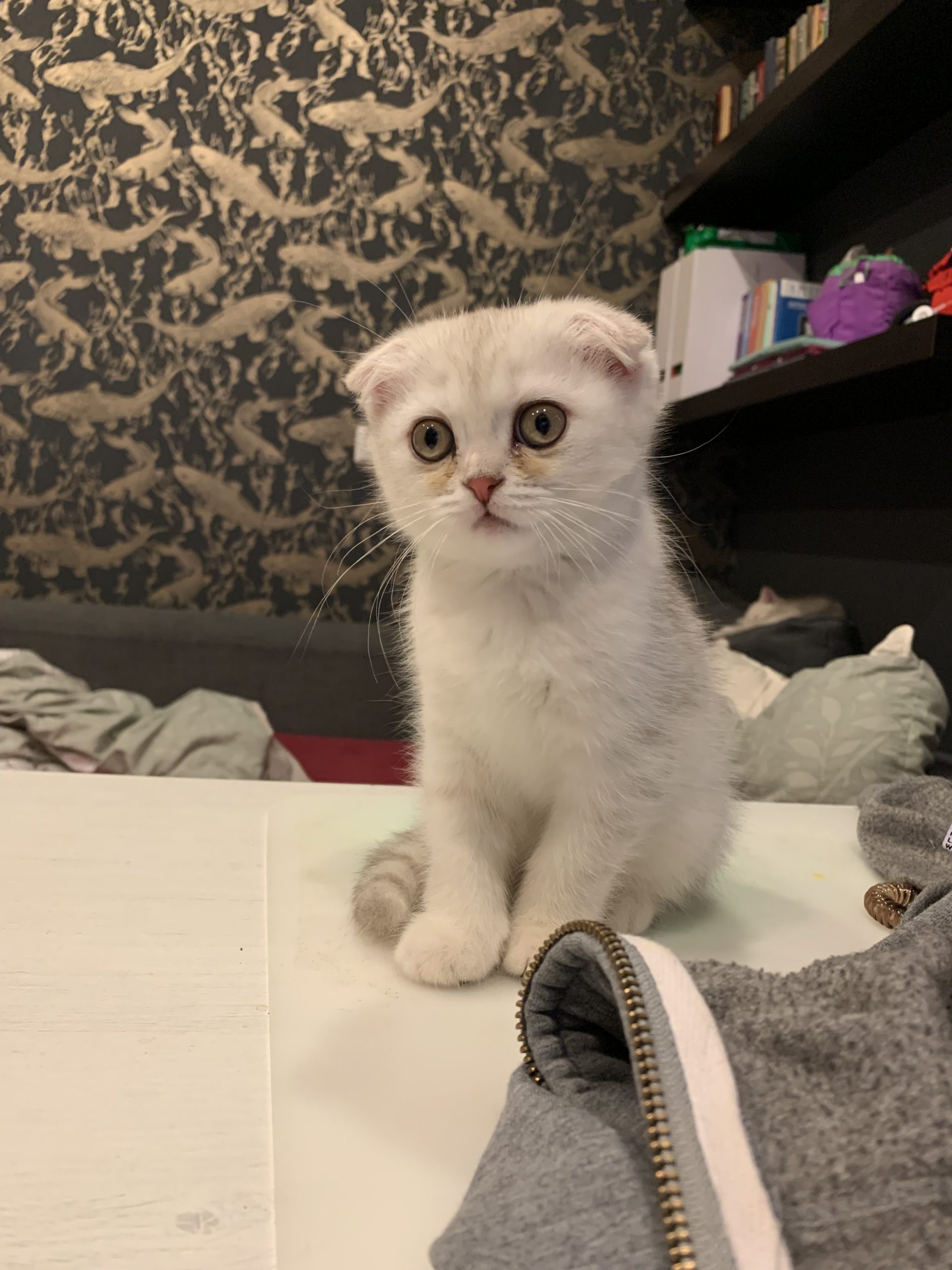 C95581E9-0035-4629-929B-B1F976C66534