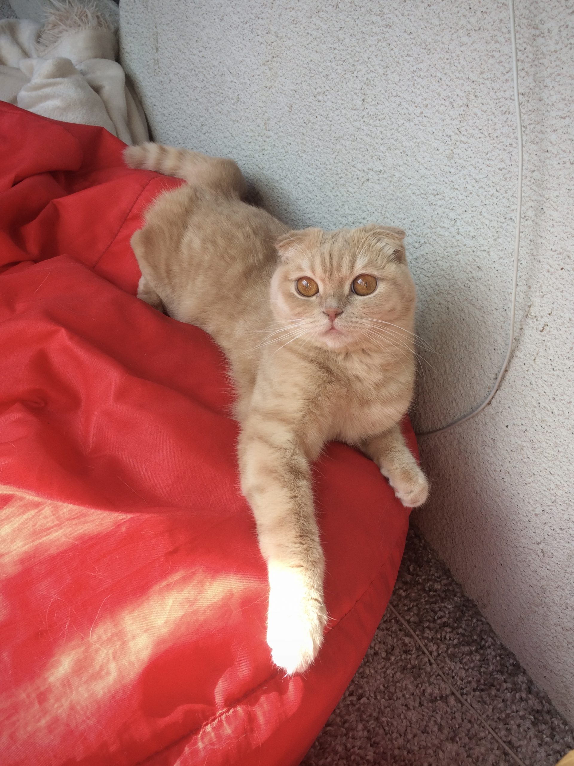 CB9E2CBB-A2A5-46BF-9F22-3FA6D082A8A7