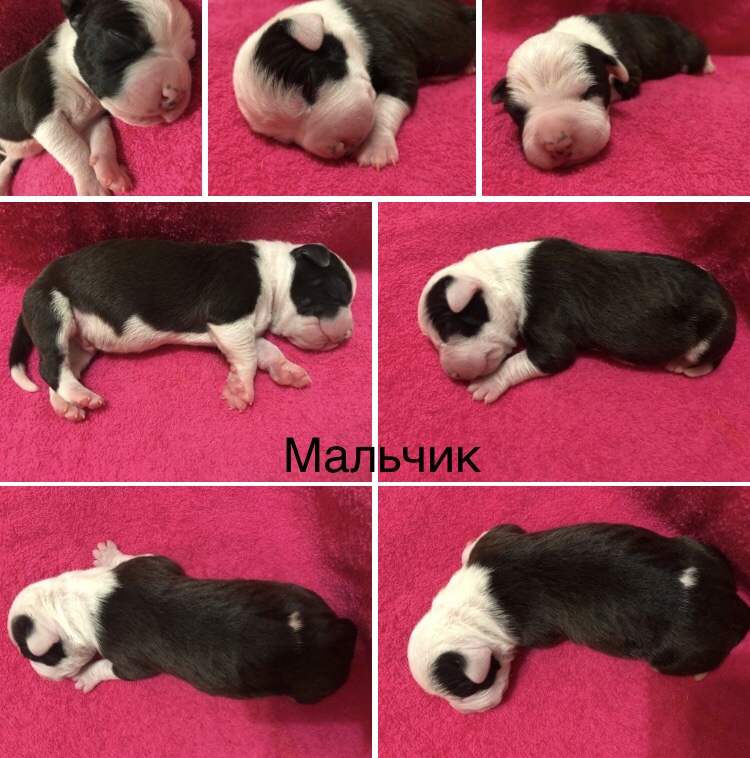 D4BDAA3E-B5A9-450B-8A9F-98E8648FED86