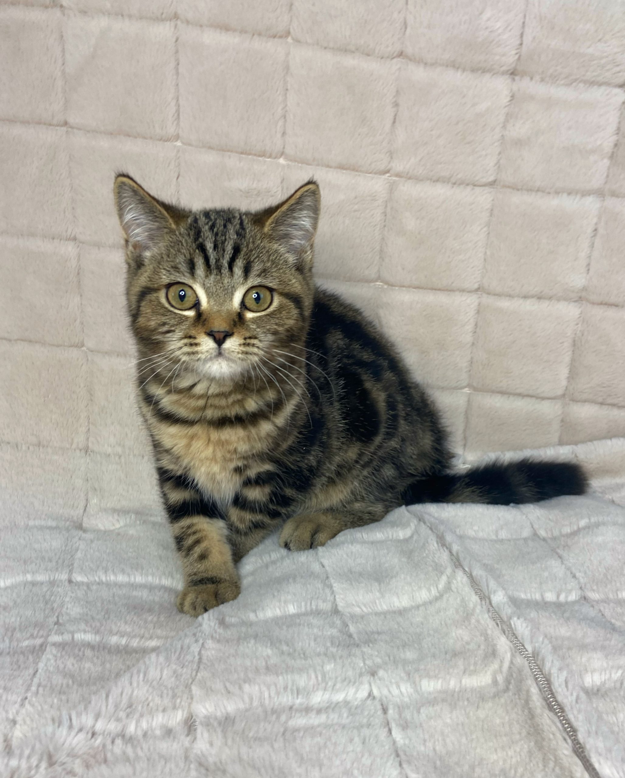 D84DCF07-2C1F-409F-B2FB-2E1AAA8B389A