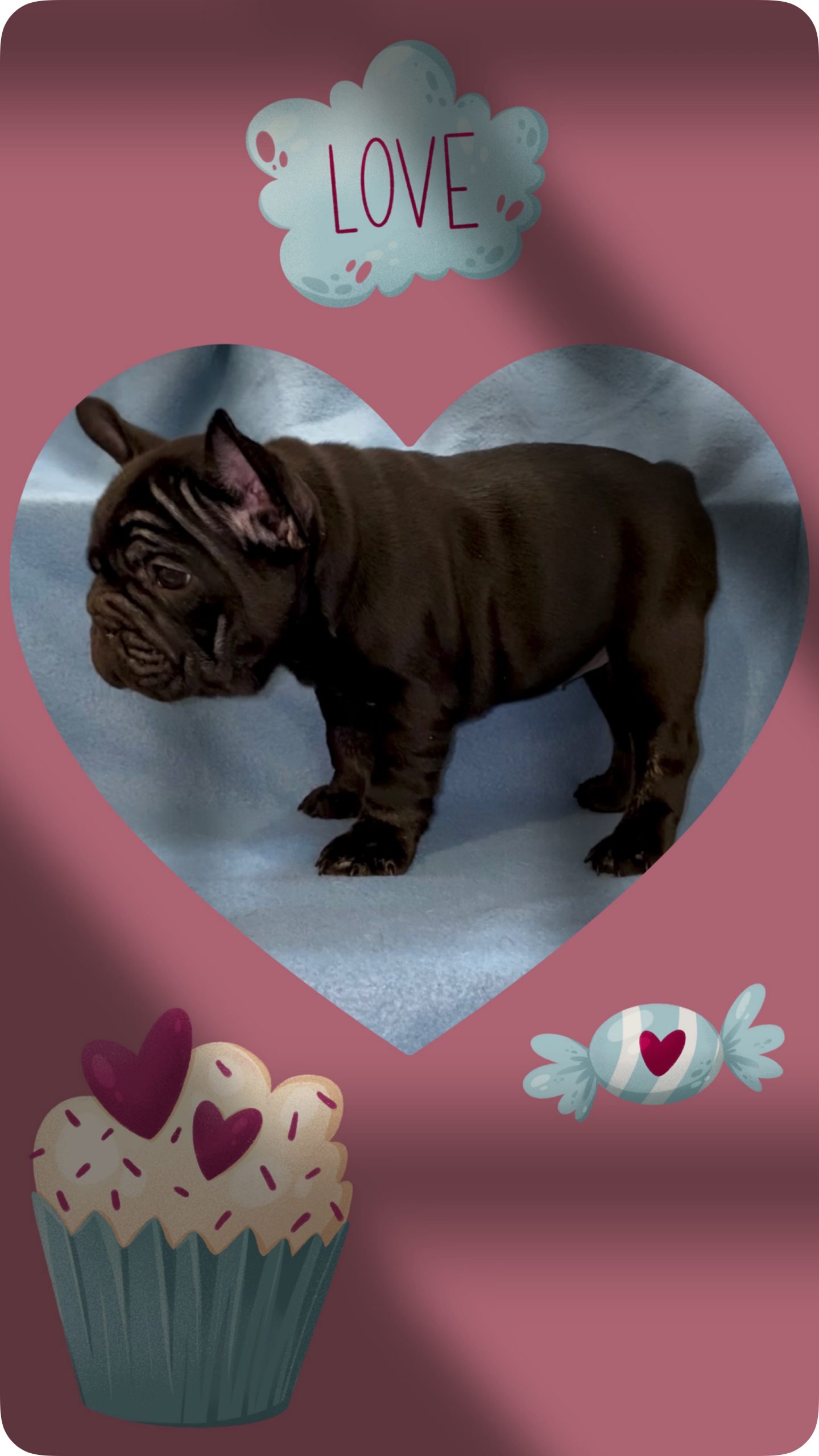 DA8C5D54-EFD1-40A6-BF4E-96FEA94D3471