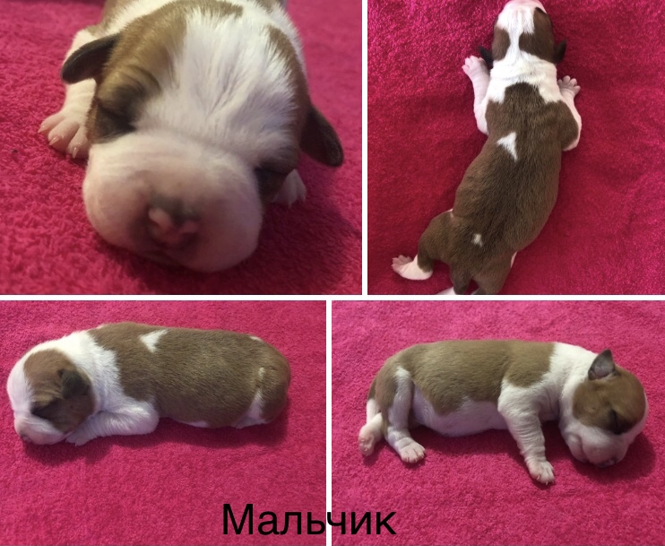 EE36EDAC-C5D5-4F62-9DE0-731FA7694422