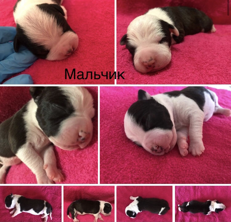 FACE4C77-4ACE-45E4-9619-450E77C8318F