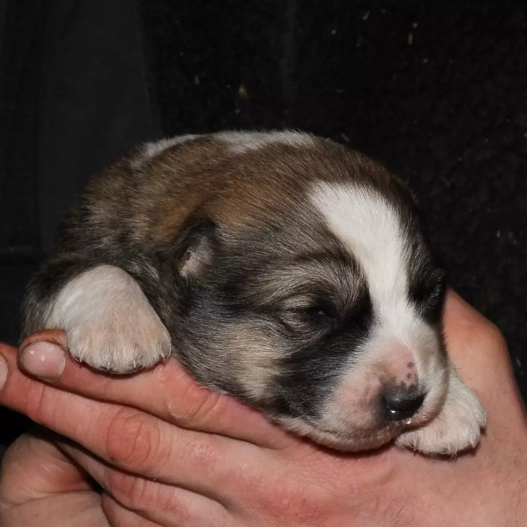 IMG_20220115_194751_762