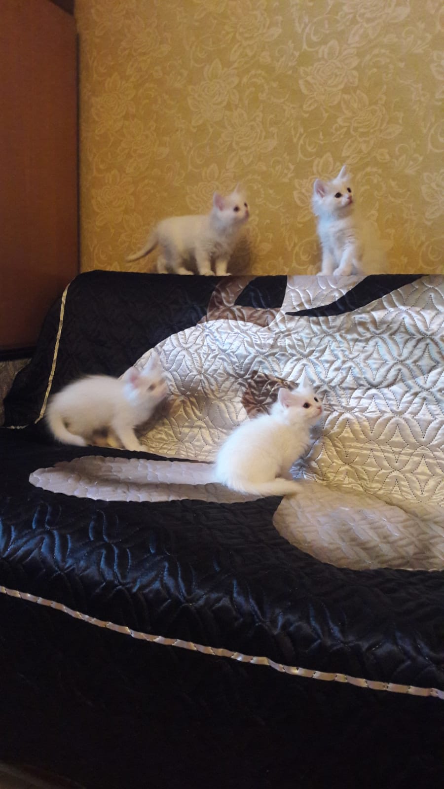 WhatsApp-Image-2022-01-03-at-15.00.30-1