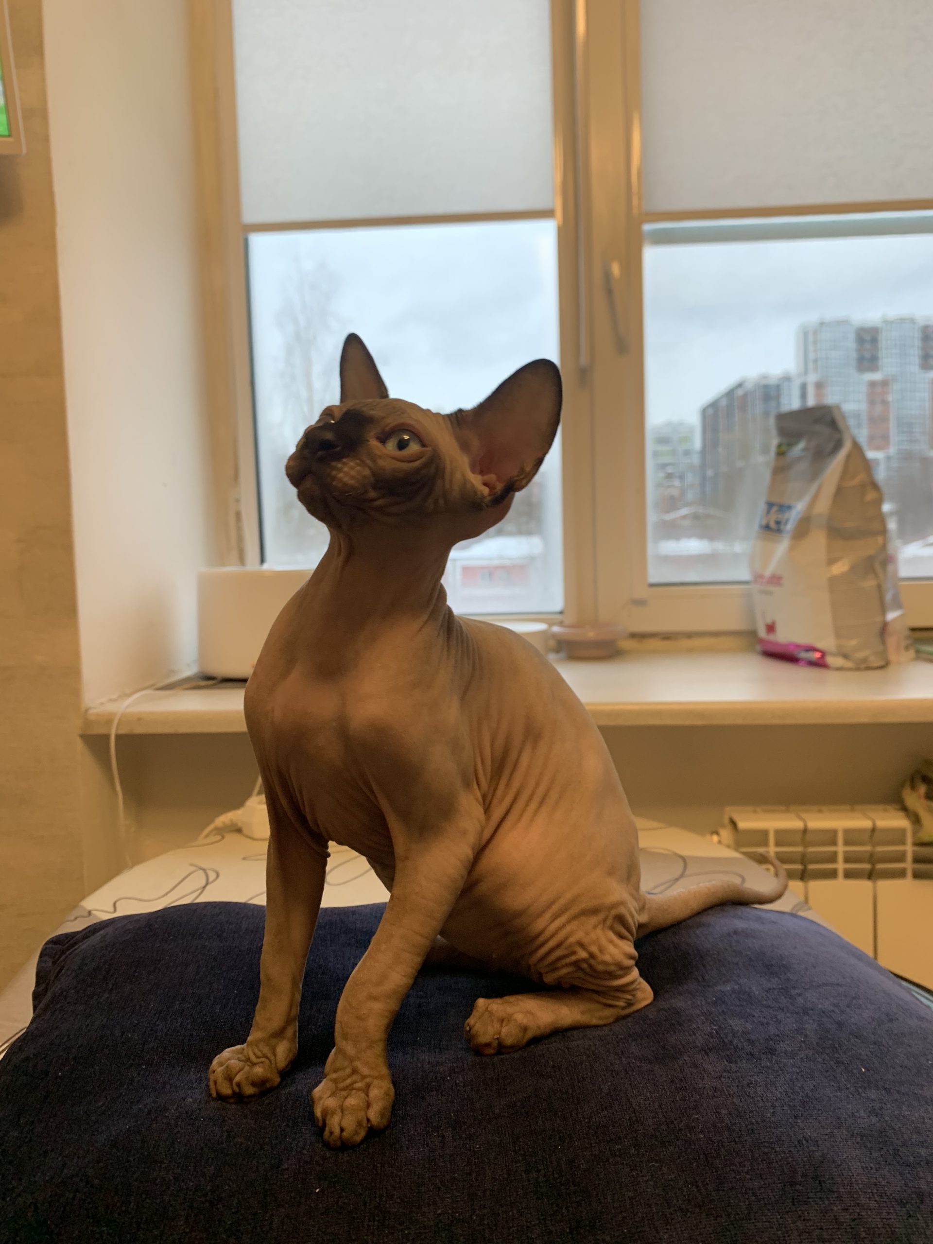 02F7EEB2-0E85-4ACE-A38B-47569DF0D76B