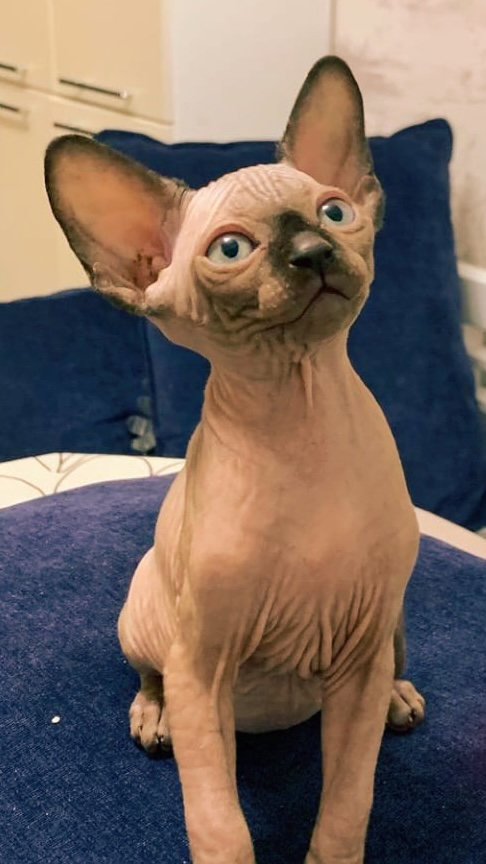 0AAF457B-06FD-4930-934C-A828429C7B7F