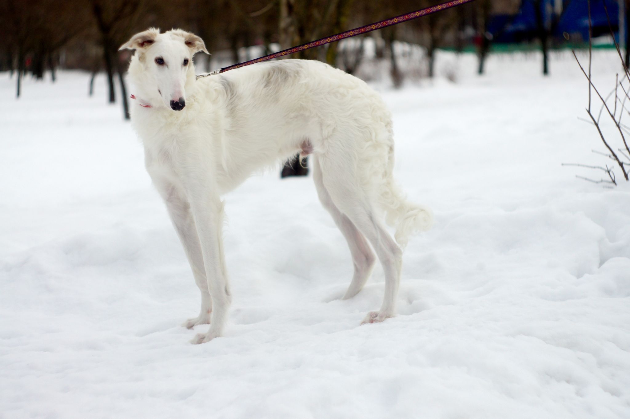 273875887_627663208328169_4444944560336163178_n