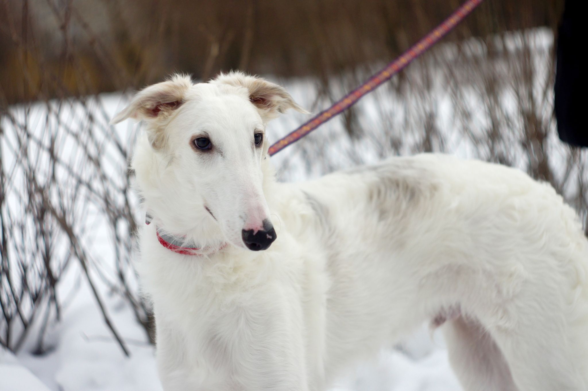 273879722_643355136744539_7069966726325612308_n