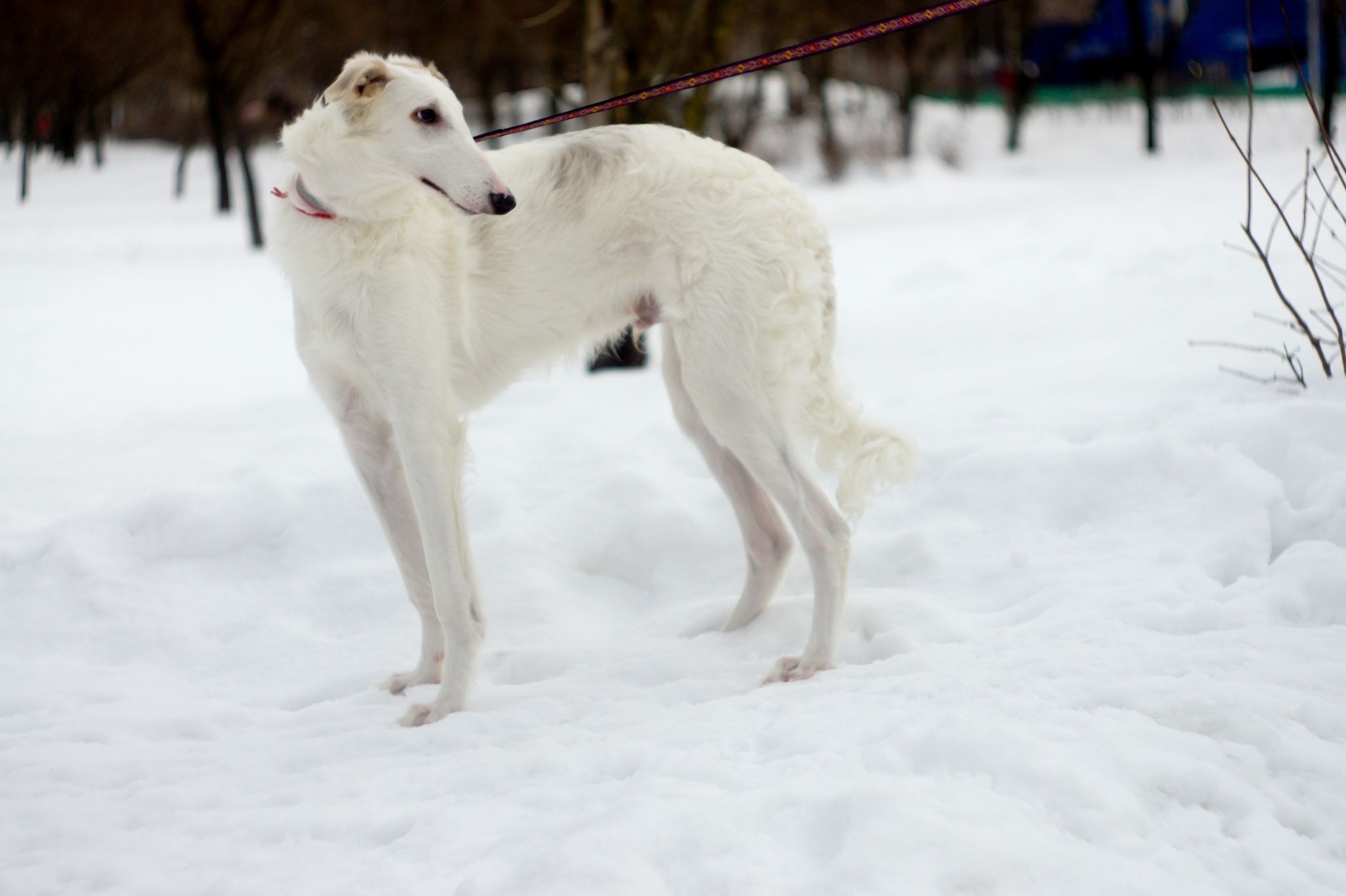 273936237_707182543614292_2394343436088356816_n