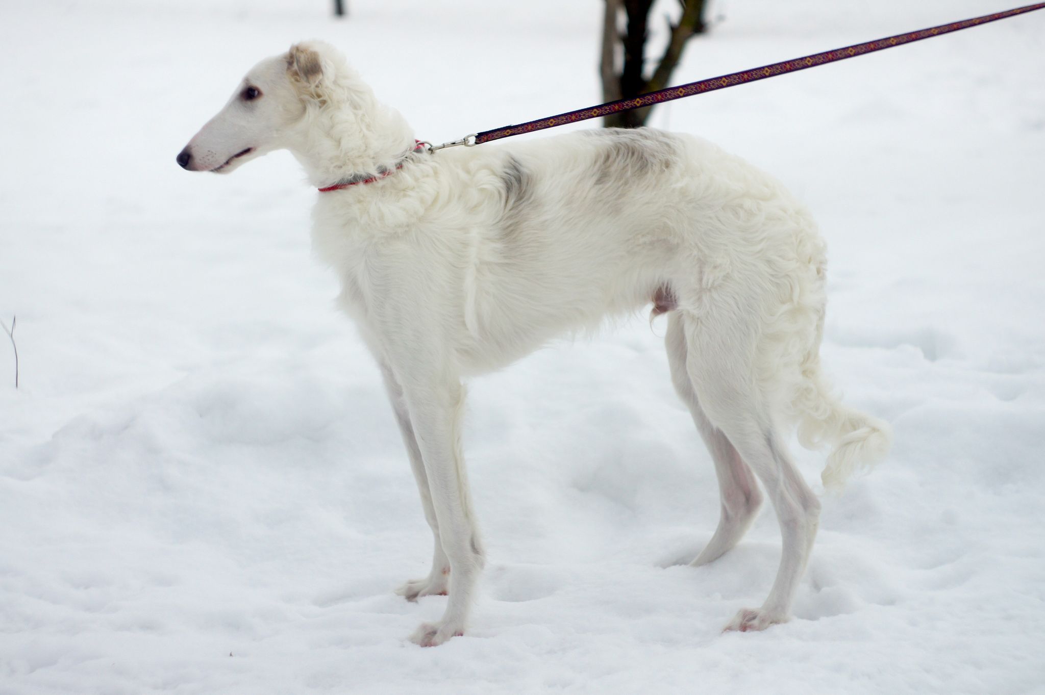 273948336_526504898894045_3005874422673027378_n