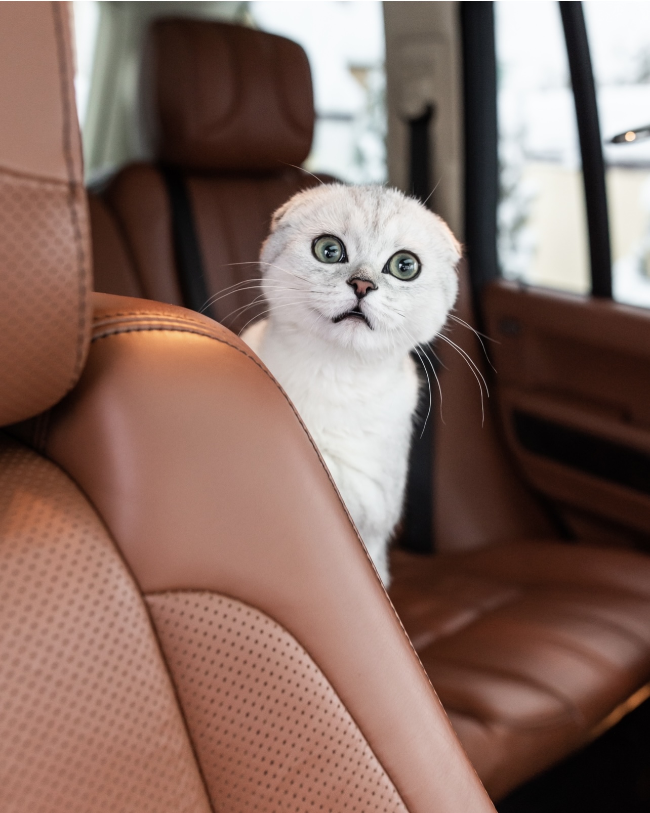 51AEB144-6B81-46AA-9972-018AAD1EFFDA