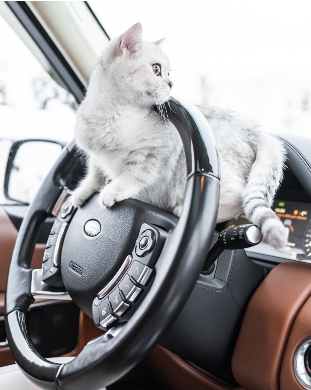 6B8BC7F9-F931-4C4F-A24E-A3CD2F4BE111