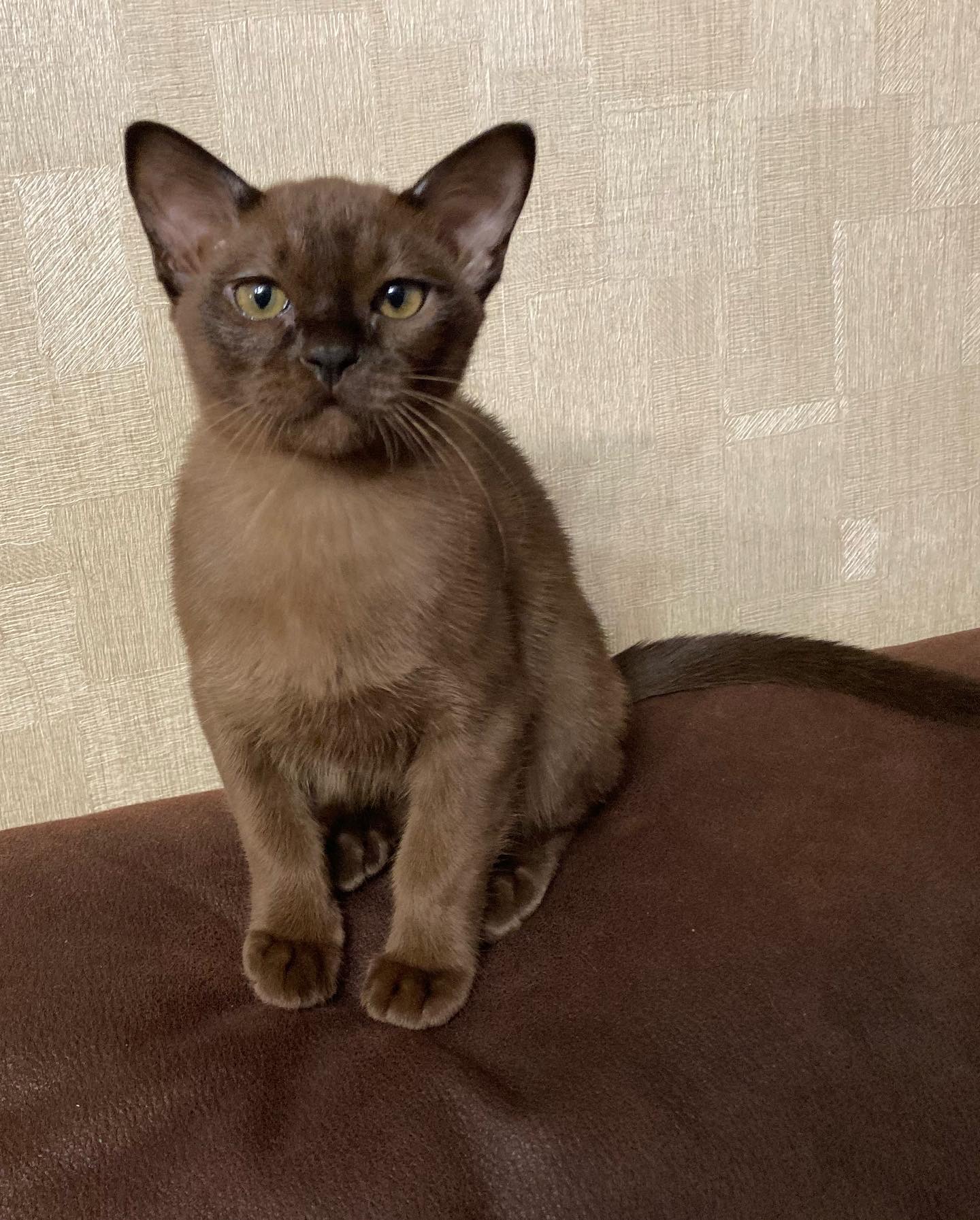 7E62D506-11D1-432F-BDAC-0E5681FD179E