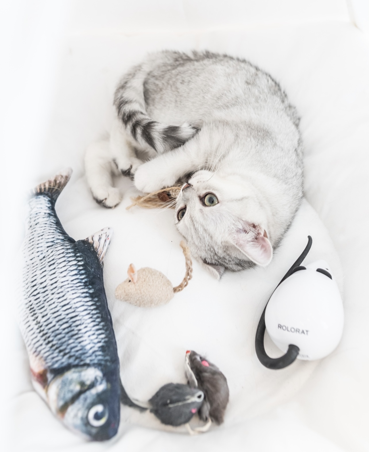 AE2526BD-47A4-45BD-9861-5C07E349D012