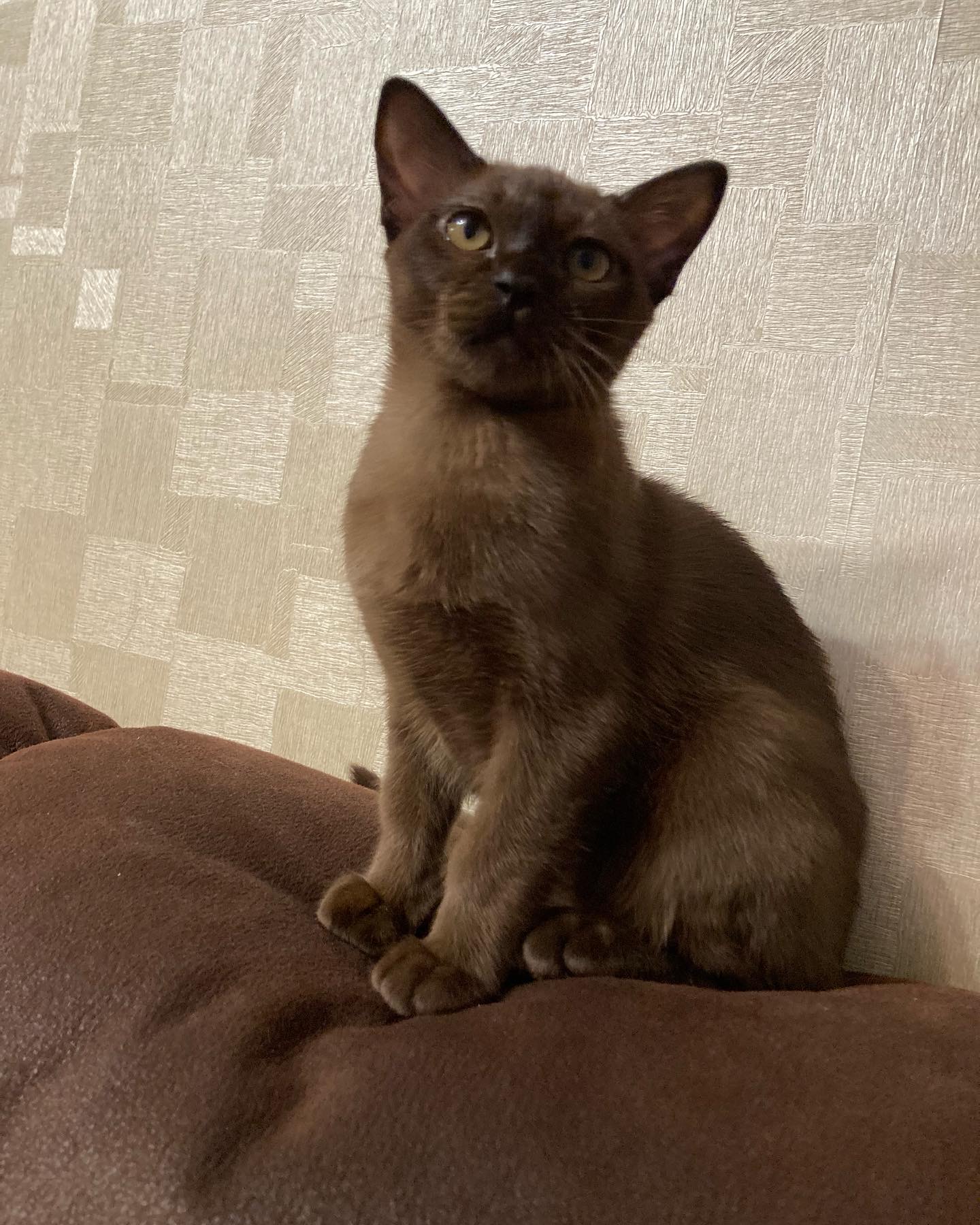 B4766BFC-9205-4F04-B2A2-FA8B5C4BF670