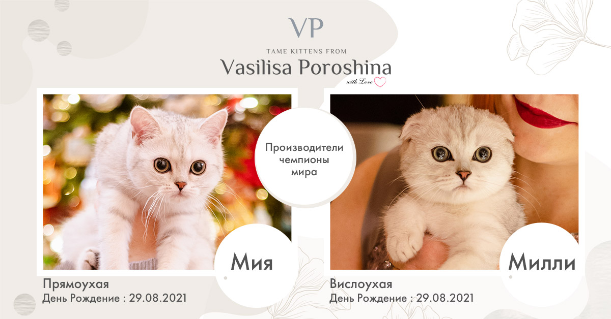 EC95D9BF-F071-494A-B182-6C2BF5A8A273