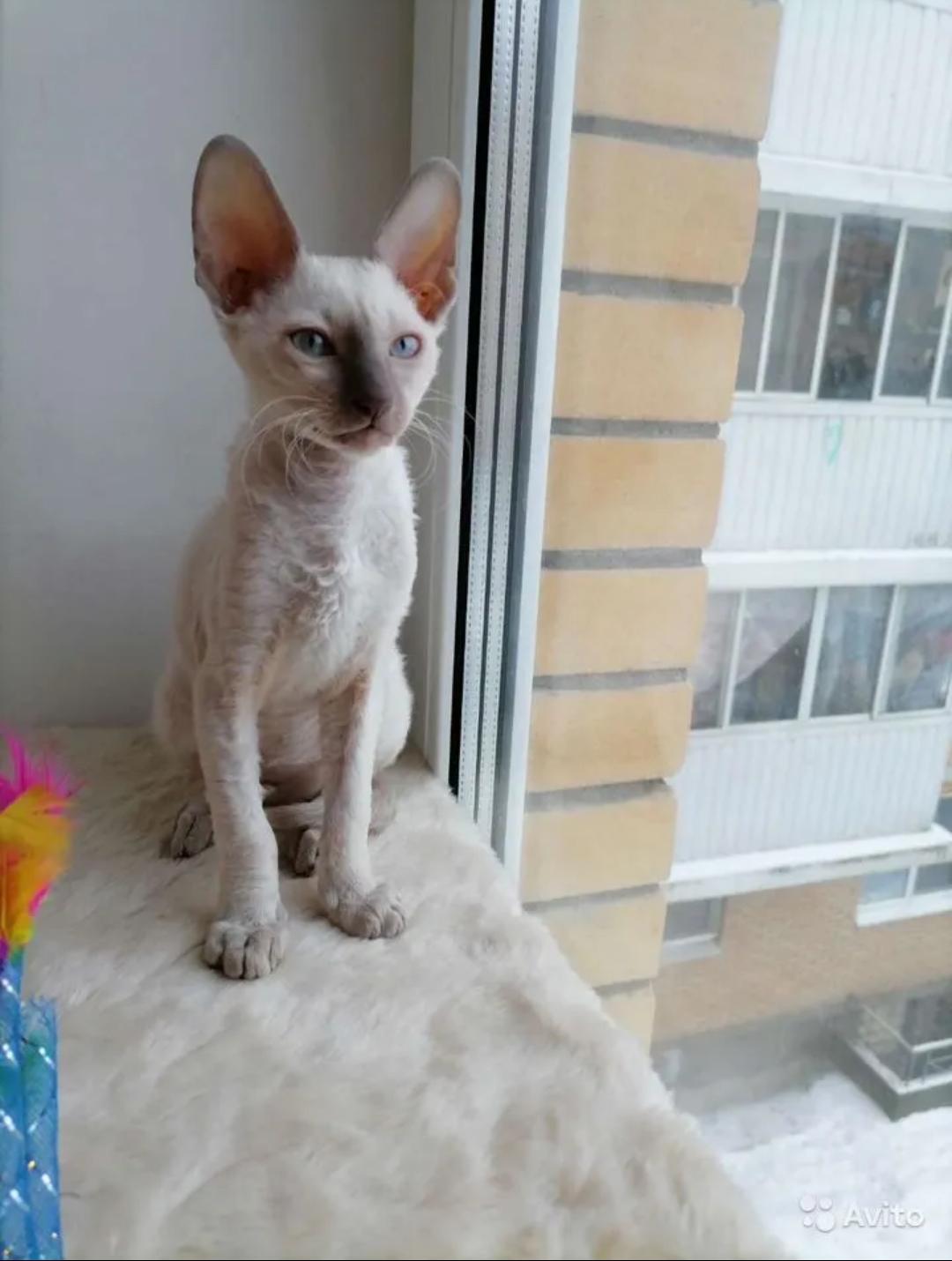 Screenshot_2022-02-17-18-10-23