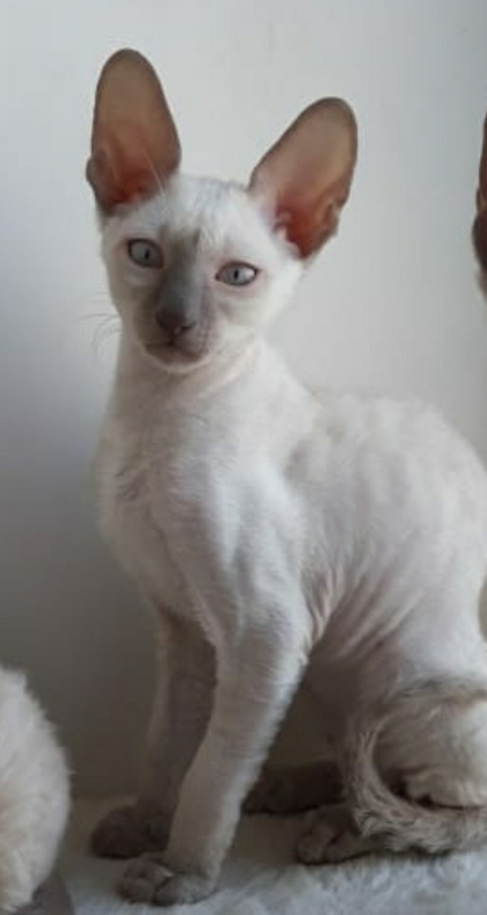 Screenshot_2022-02-19-19-06-21