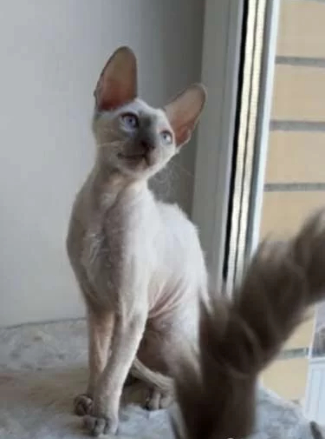 Screenshot_2022-02-19-19-07-36