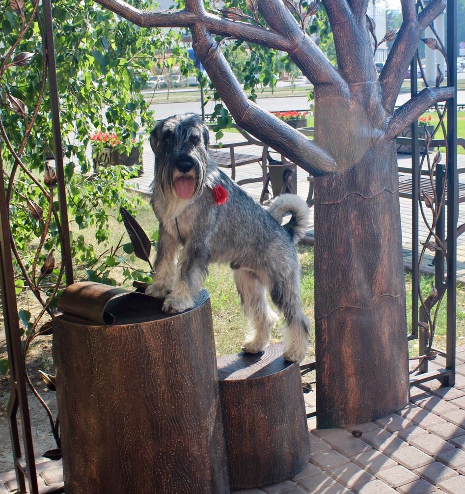 WhatsApp-Image-2021-09-06-at-14.12.25