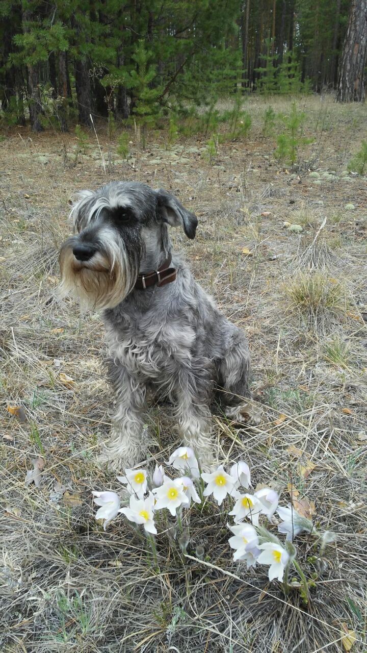 WhatsApp-Image-2021-12-22-at-14.59.50