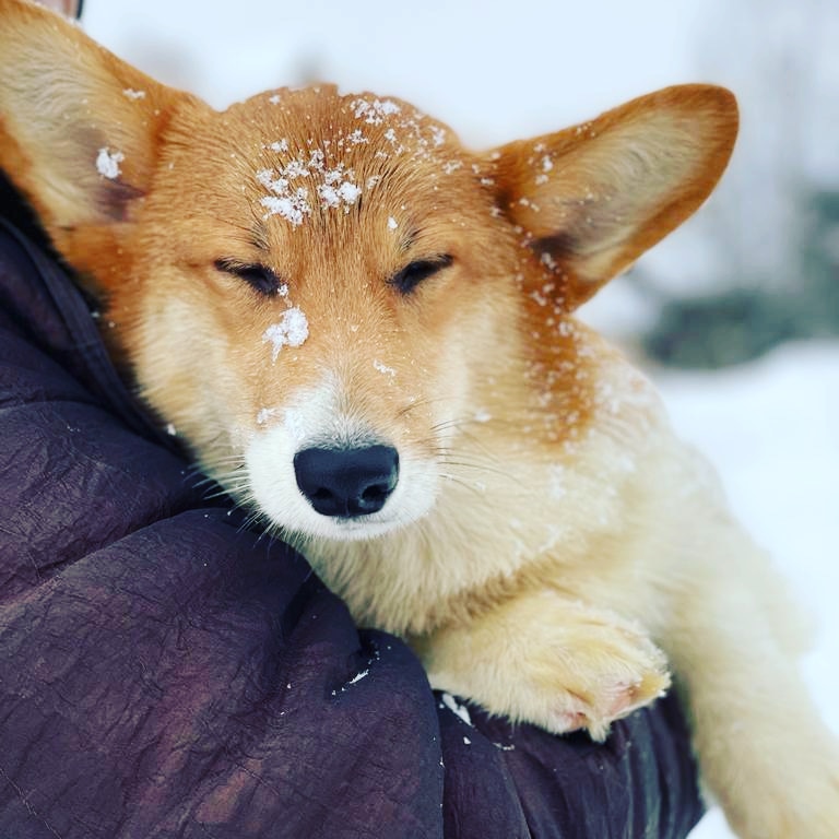 WhatsApp-Image-2022-02-02-at-15.25.22