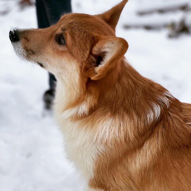 WhatsApp-Image-2022-02-02-at-15.25.36