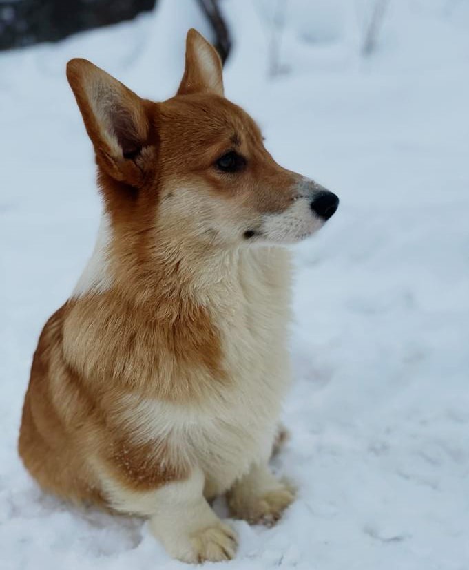 WhatsApp-Image-2022-02-02-at-15.29.38