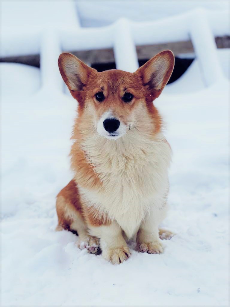 WhatsApp-Image-2022-02-02-at-15.30.27