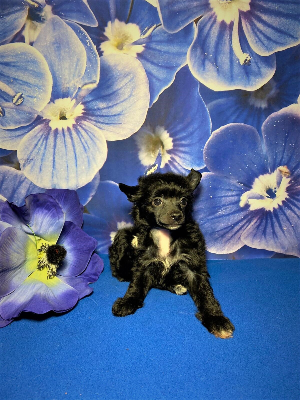 e9a4f188-45f3-4f69-b334-427af783dfbe