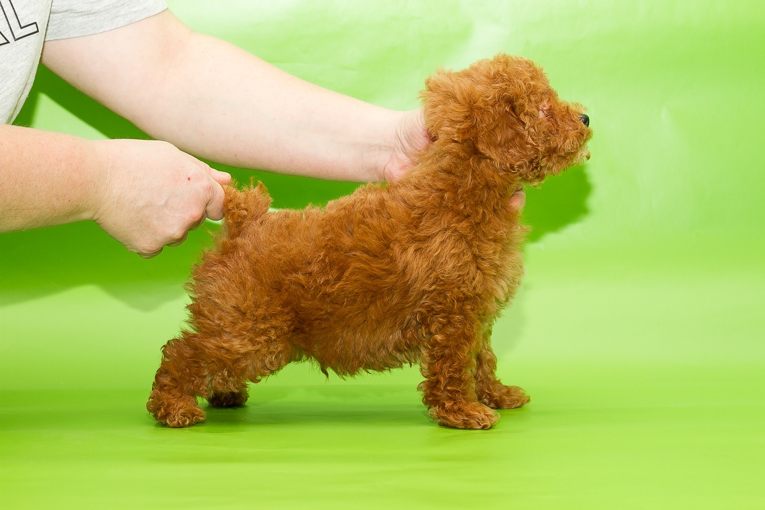 image-01-03-20-07-08-10