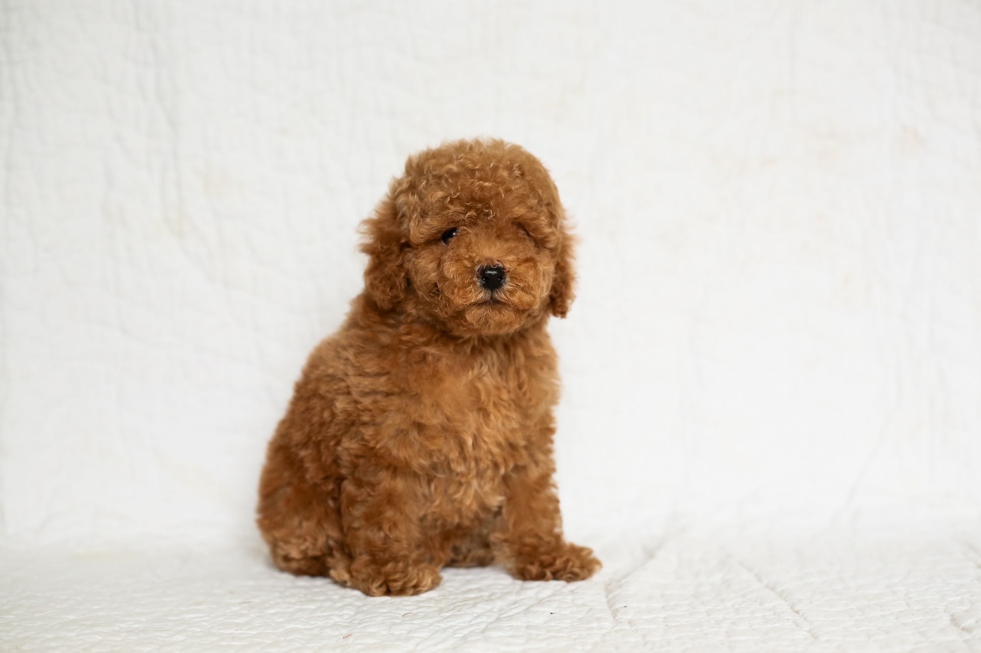 image-01-09-20-01-48-8