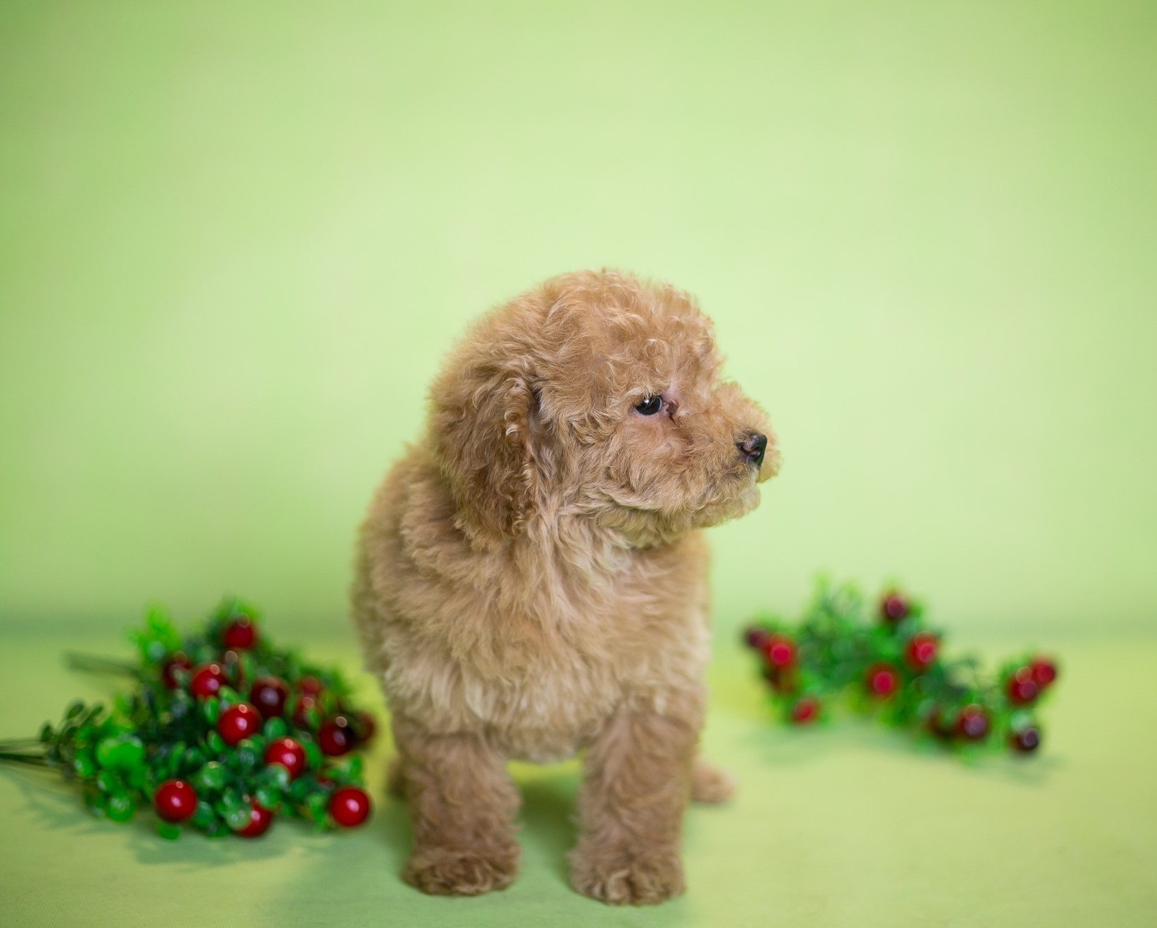 image-07-06-21-02-49-20