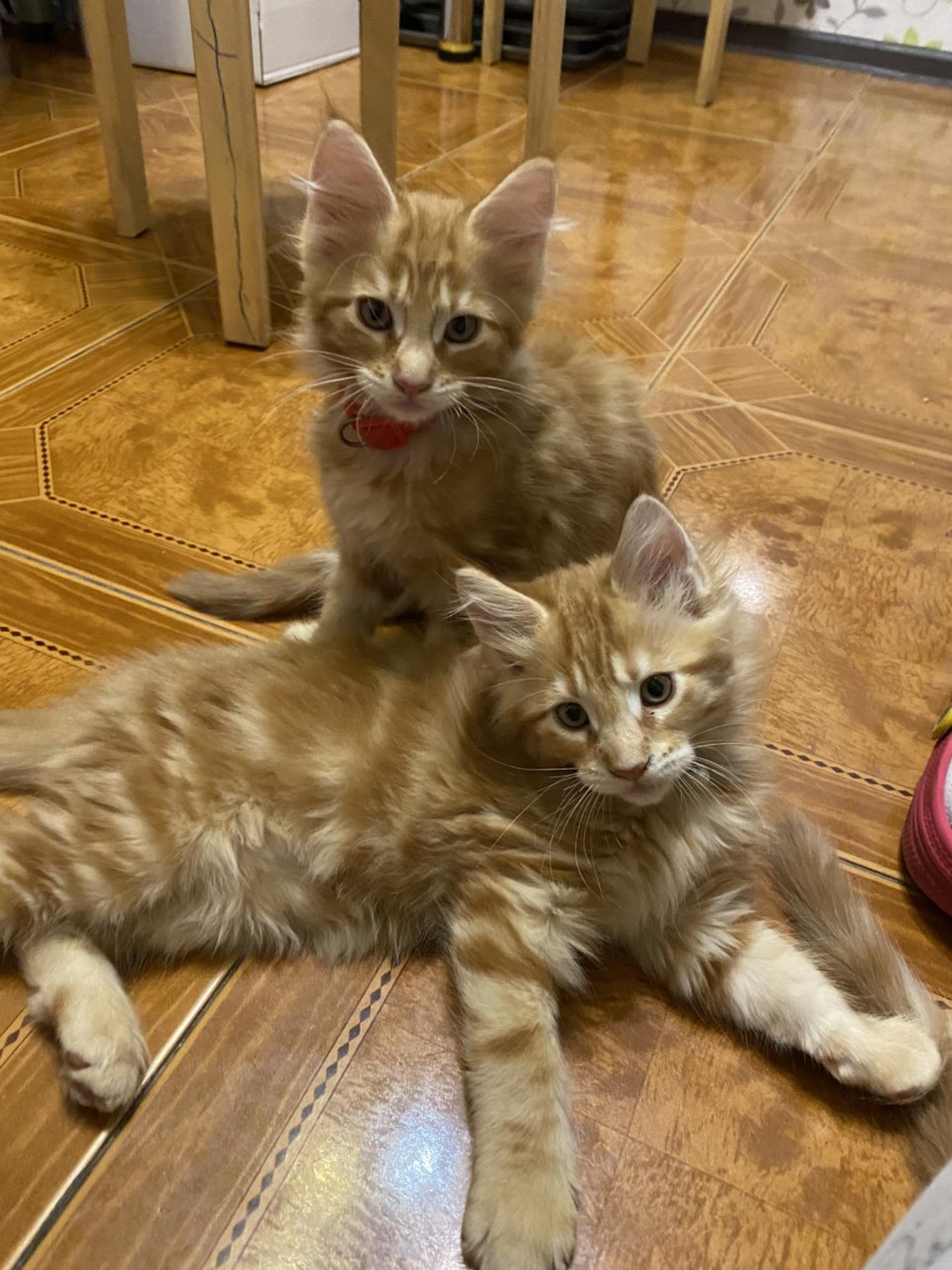 6240b24efe555069003ab581-1