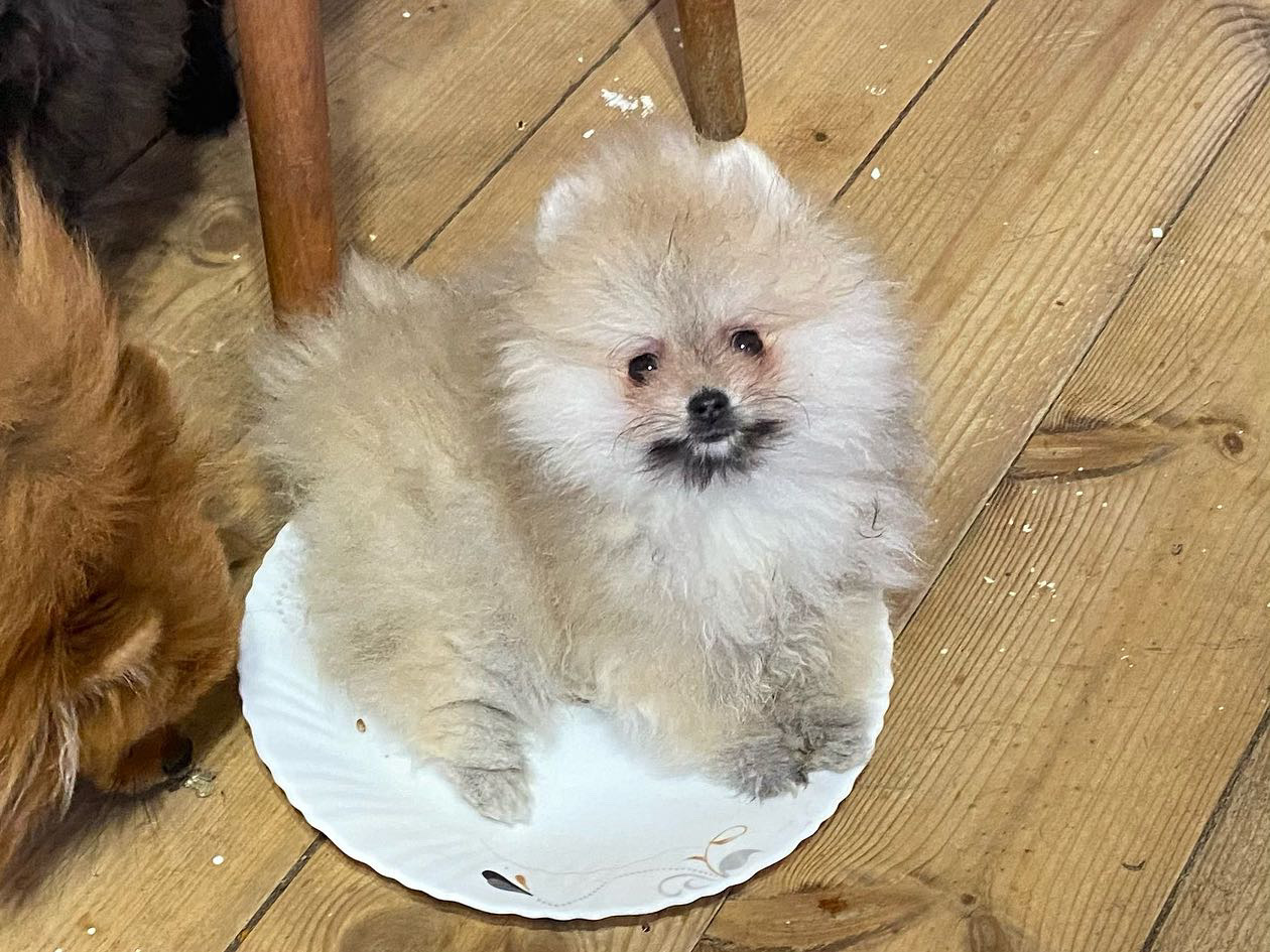 6FAE32AF-E906-4578-8EFC-932C87DDE15F