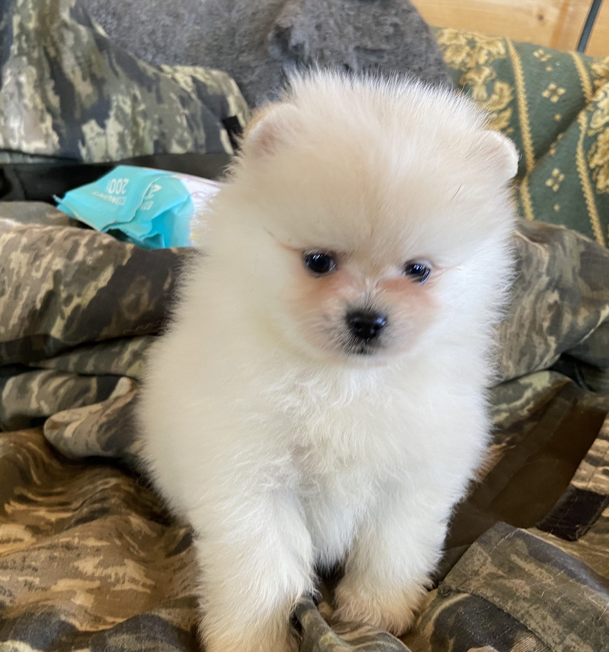 A0651049-248F-418A-88A3-4D8702FF0311