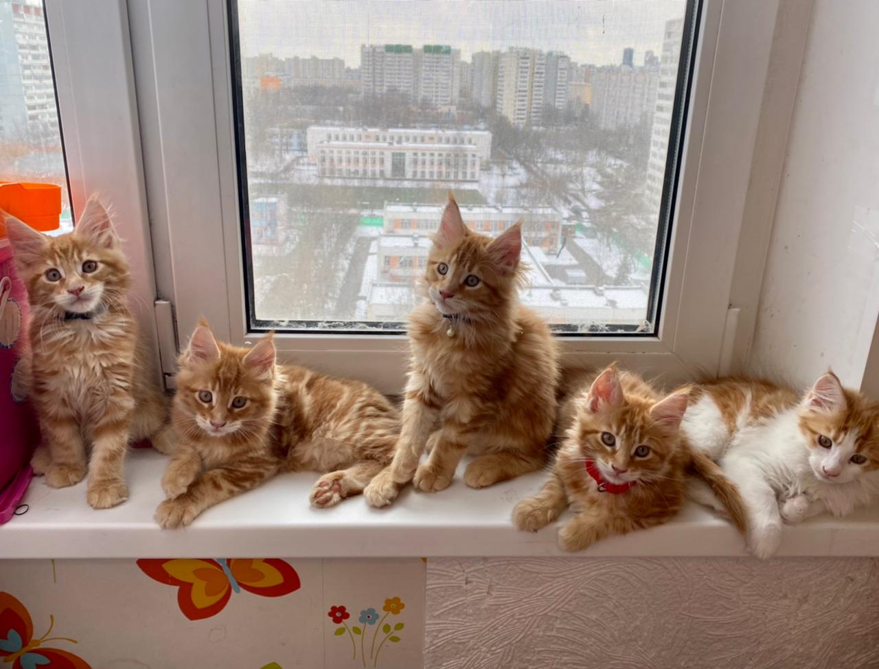 PHOTO-2022-03-31-10-03-10