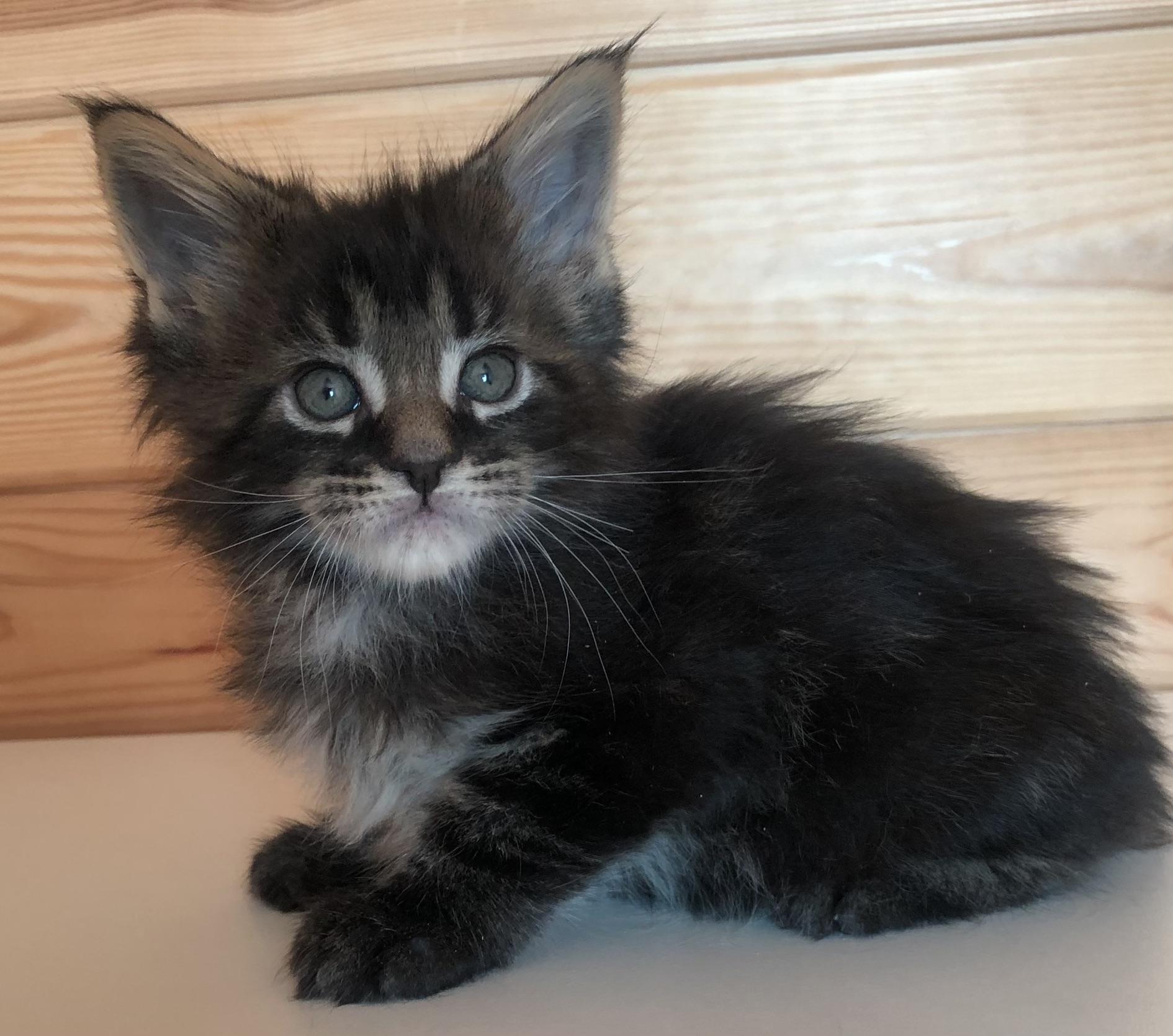 C2EC3449-CACB-4895-A013-78D20FDD2C89