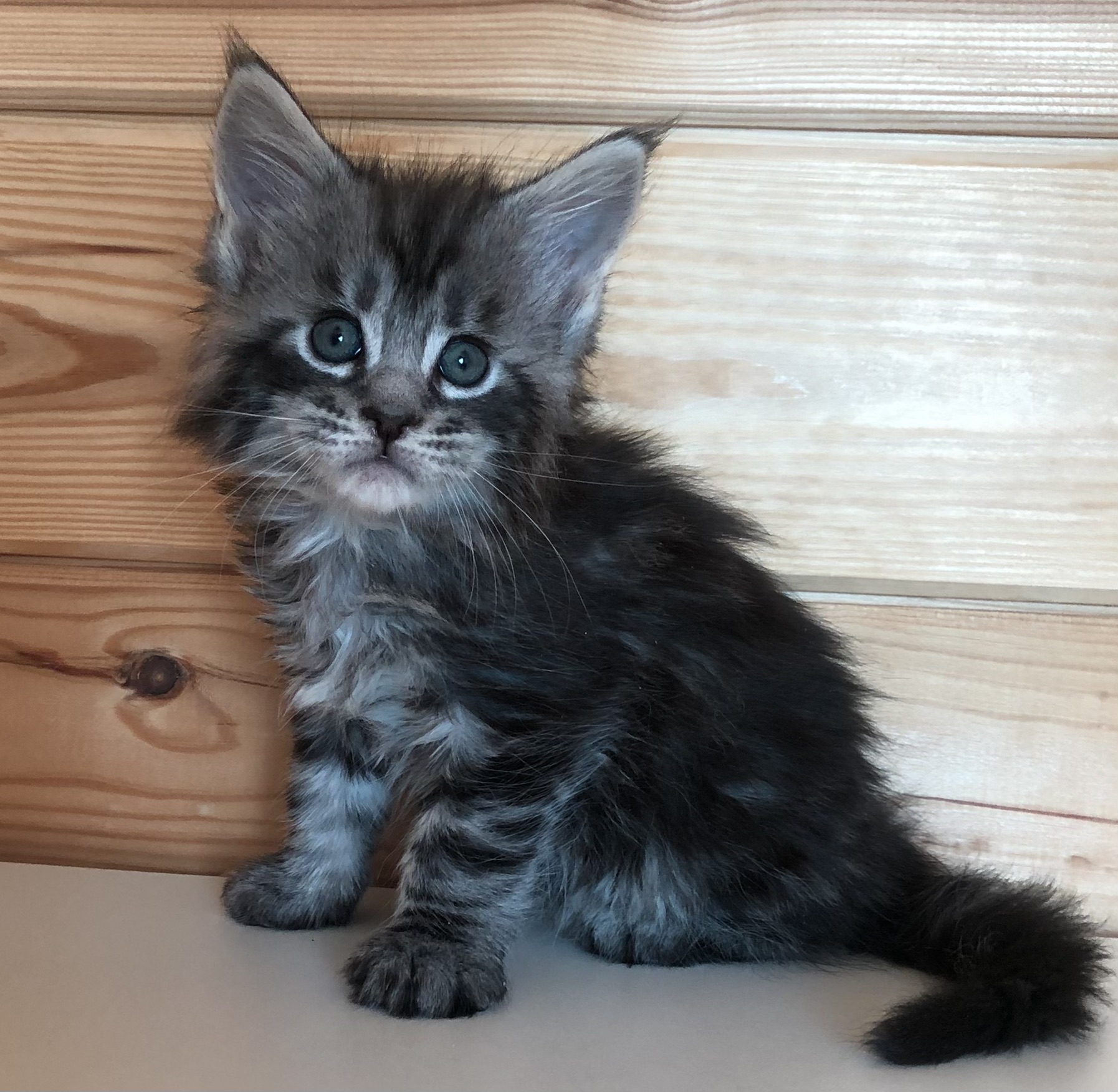 C859FB07-3047-4100-A9D6-74FB7CAB78BA