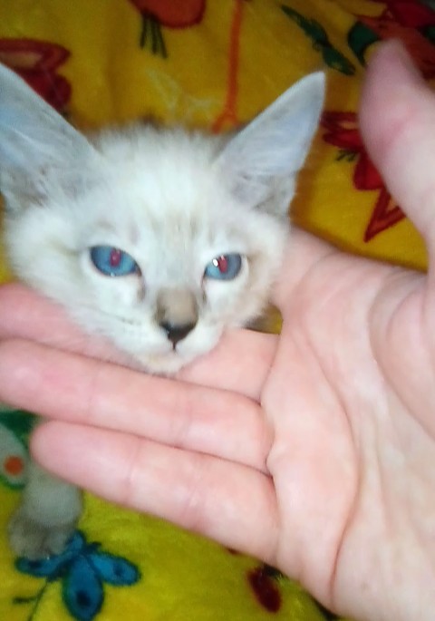 IMG_20220317_093803_796